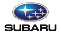 Logo of Subaru - Cairo International Airport